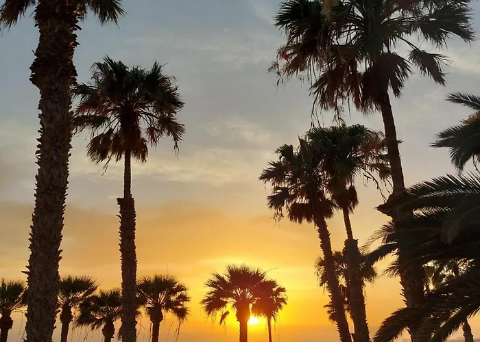 101 Playa Honda, Playa De Americas *